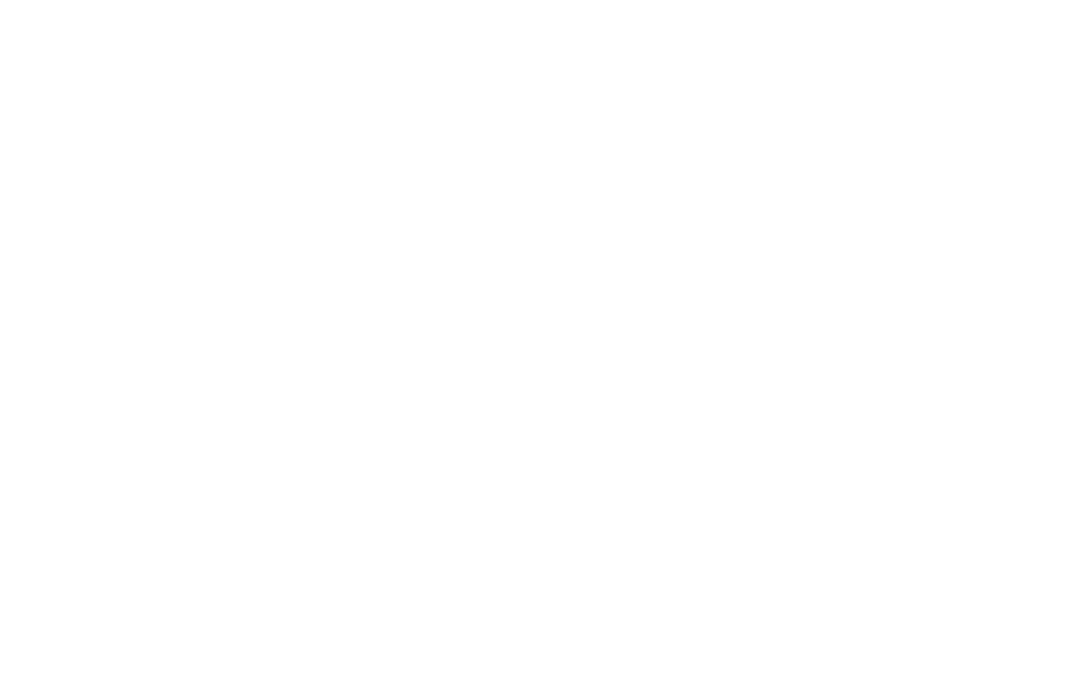 Quinn Lewis